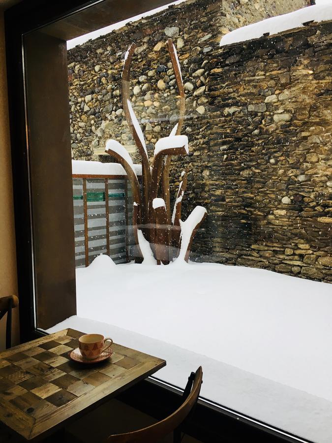 Hotel Boutique La Neu Benasque Eksteriør billede